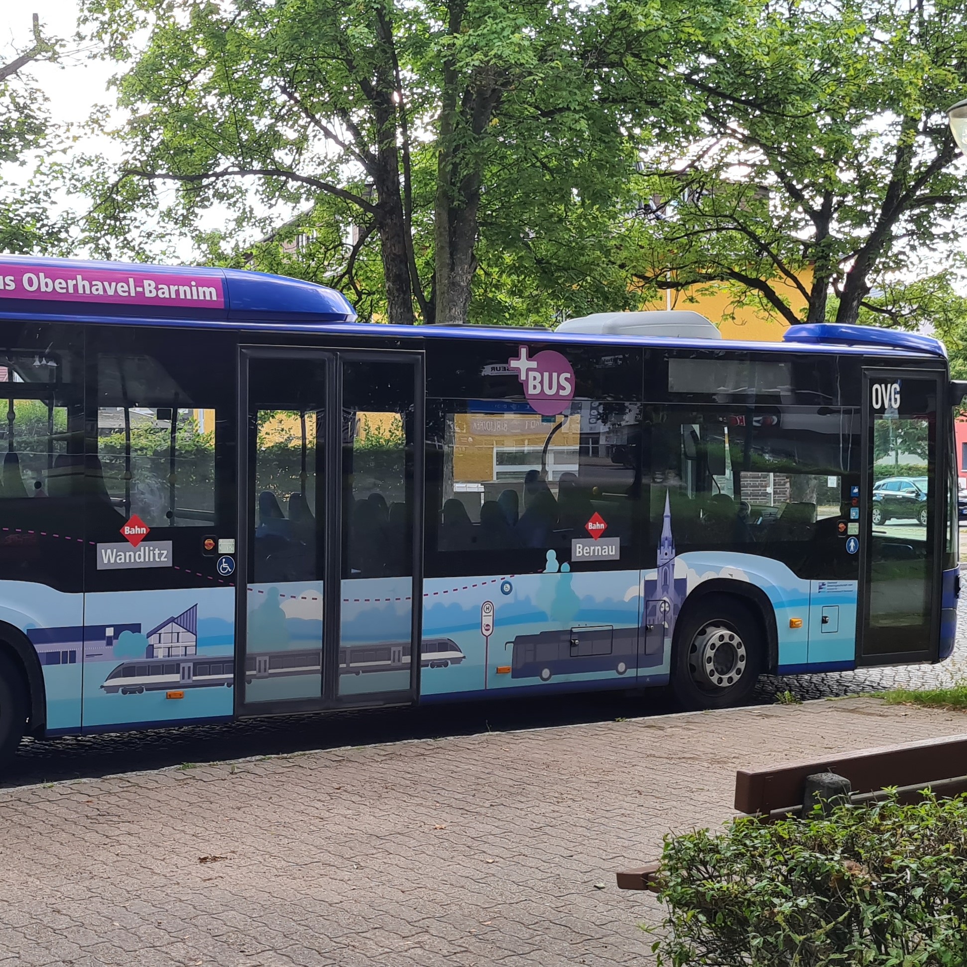 Seitenansicht vom PlusBus Oberhavel - Barnim