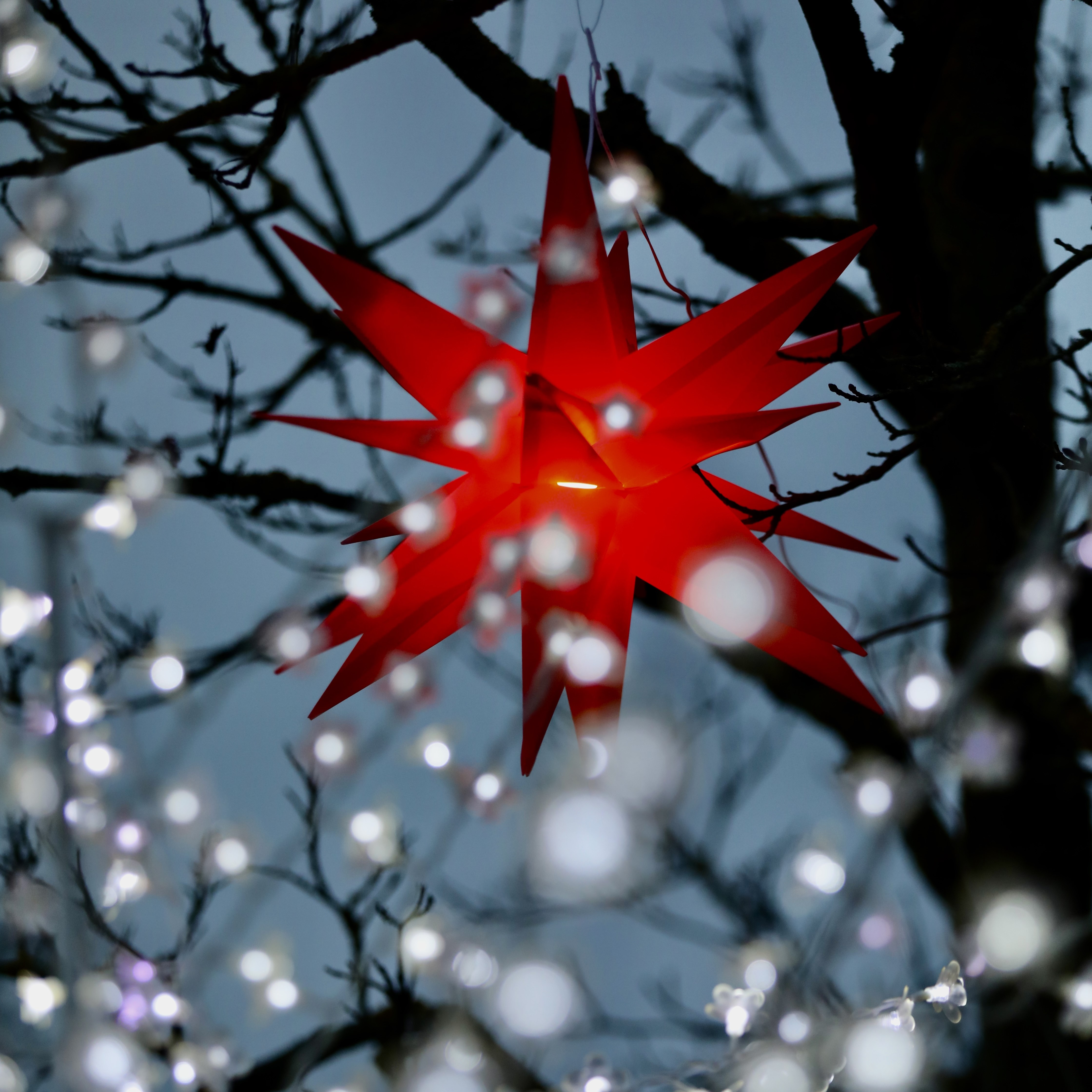 Ein hell erleuchteter Stern im Baum hängend